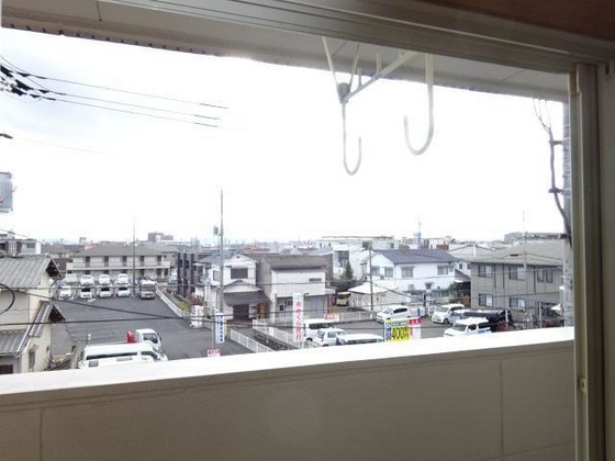 パープルメゾン