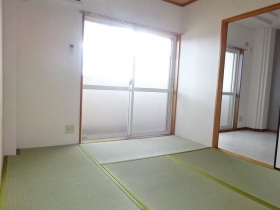 パープルメゾン