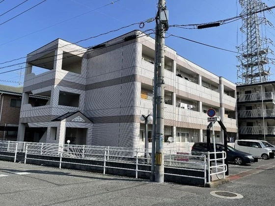 パープルメゾン