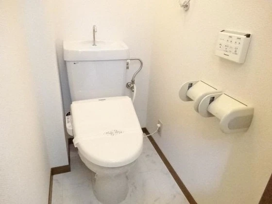 パープルメゾン