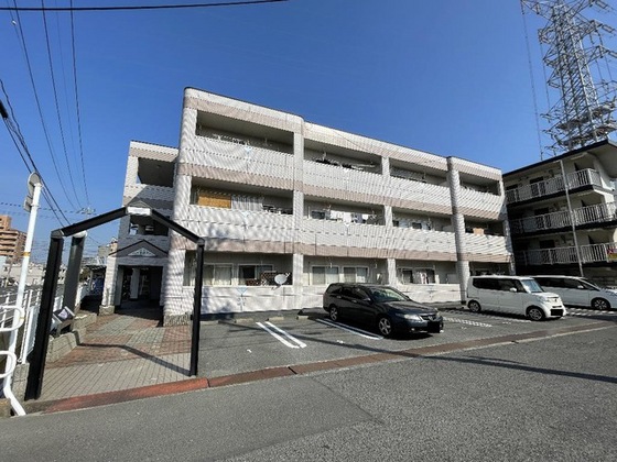 パープルメゾン