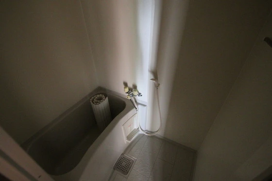 グランドステータスティエラ