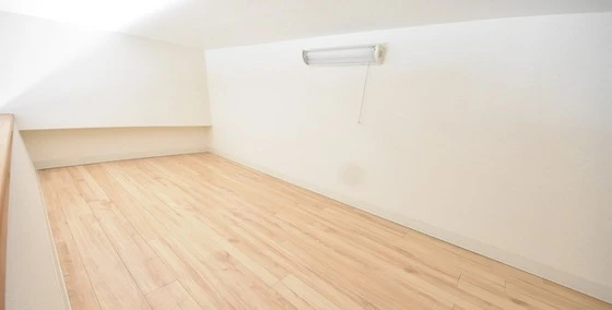 アルファレガロ岡山駅前