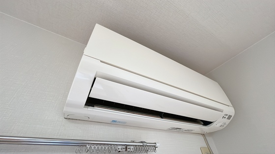 ピュアベルデ大供