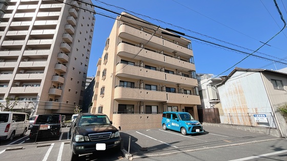 ピュアベルデ大供