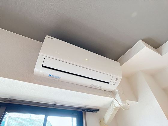 ジュネス医大東