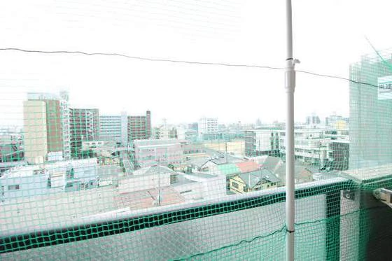 ジュネス医大東