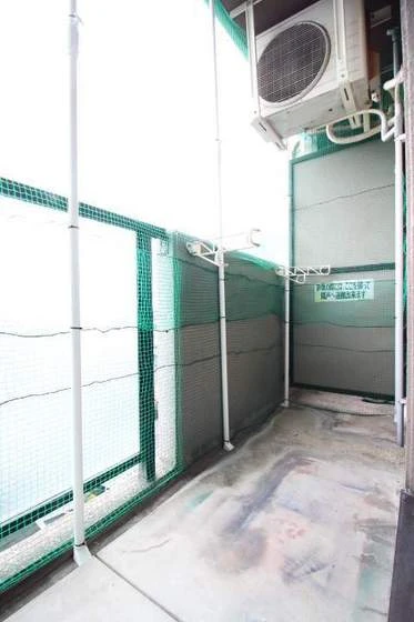 ジュネス医大東