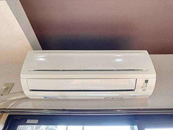 ジュネス医大東