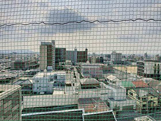 ジュネス医大東