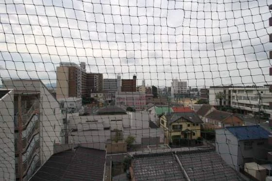 ジュネス医大東