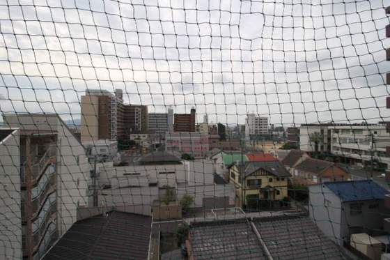 ジュネス医大東