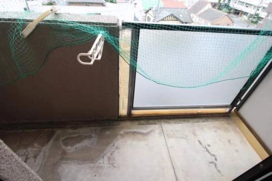 ジュネス医大東