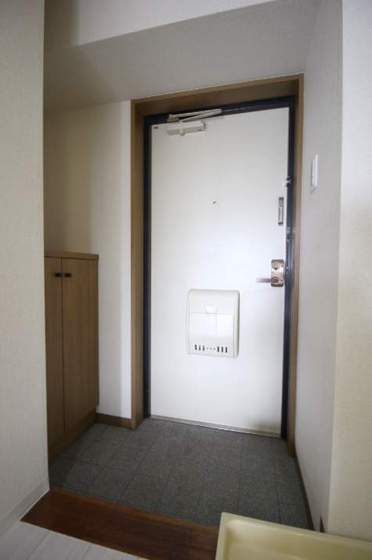 ジュネス医大東