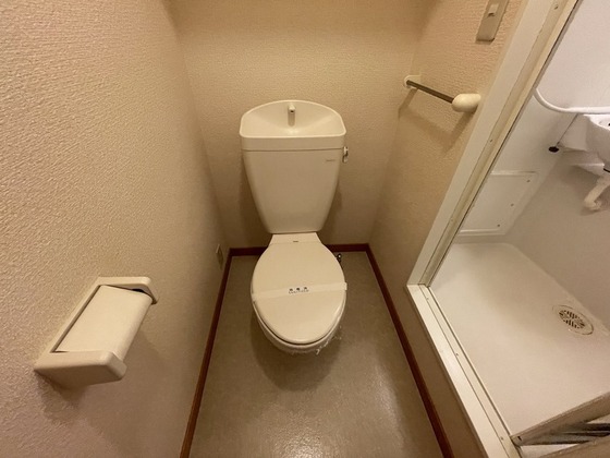 Maison de Roms伊島