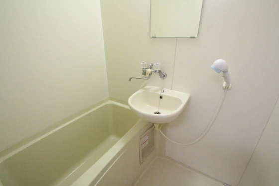 ヴェルサスライム