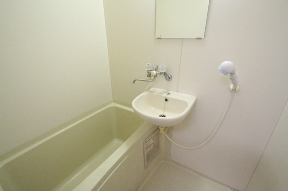 ヴェルサスライム