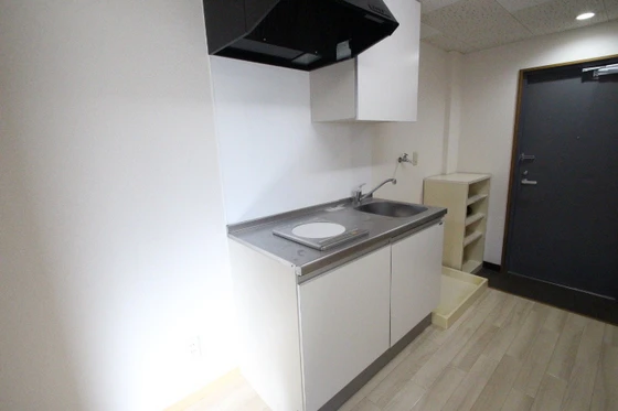 ヴェルサスライム