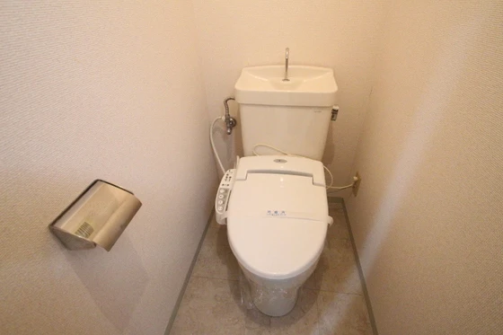 ヴェルサスライム