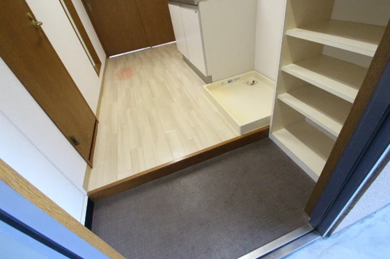 ヴェルサスライム