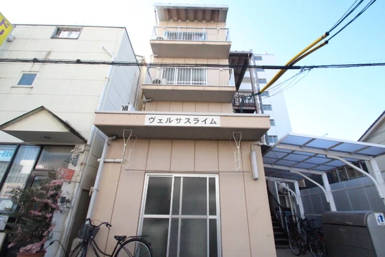 ヴェルサスライム