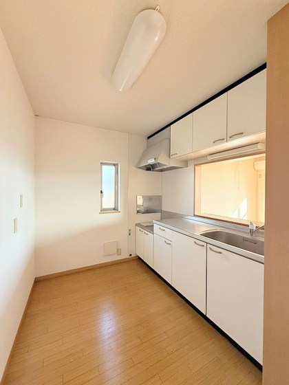 ペアフィールドA