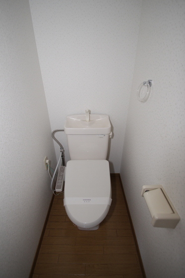 クリスタルパレス A