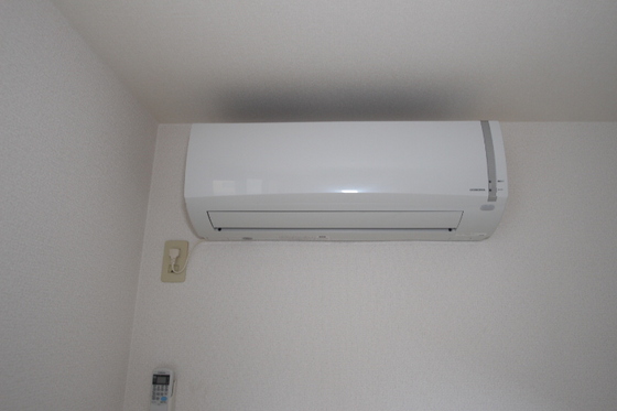 クリスタルパレス A