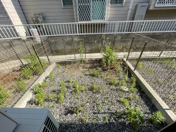 リバーノース中筋