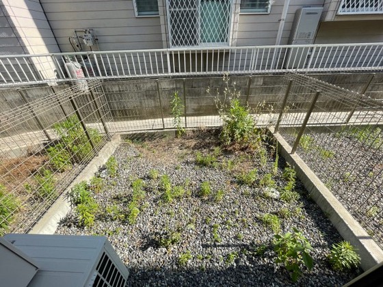 リバーノース中筋