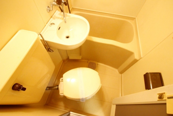 サンシャイン向洋