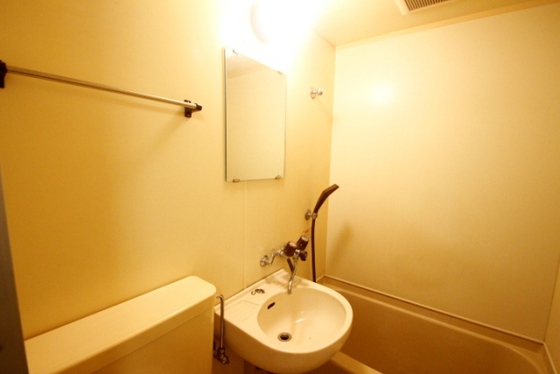 サンシャイン向洋