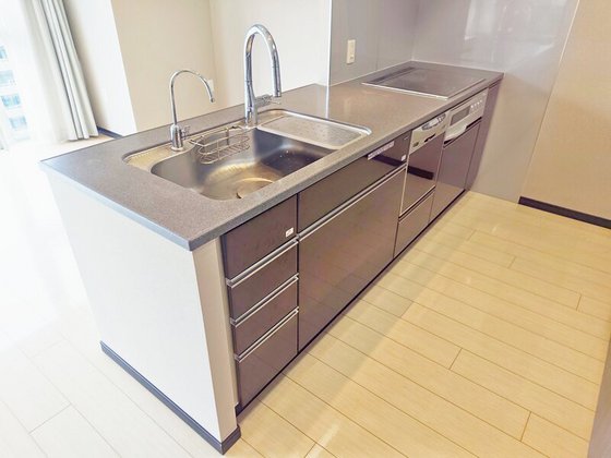 ライオンズタワー岡山表町