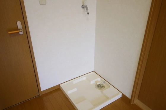 アムール・ディス