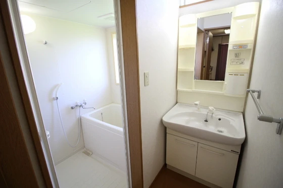 アムール・ディス