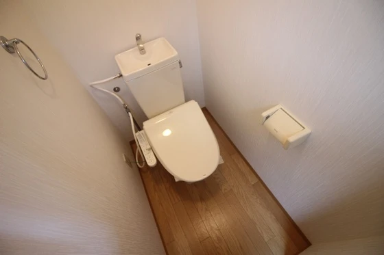 セントラルパーク絵図