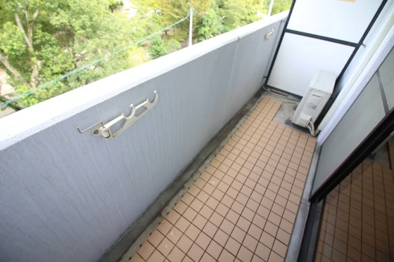 セントラルパーク絵図