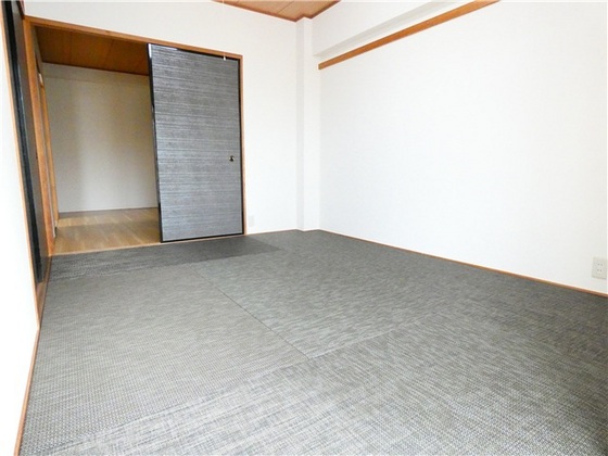 シャトレーしょうこう