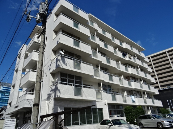 シャトレーしょうこう