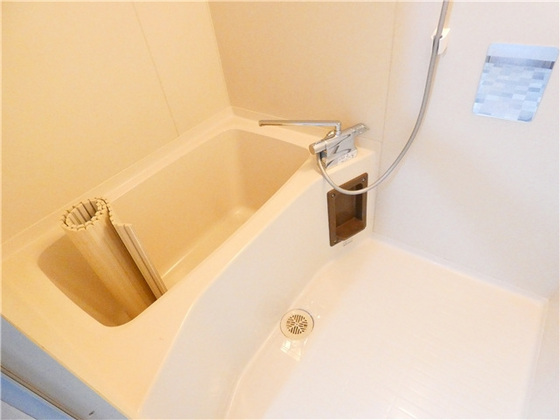 シャトレーしょうこう