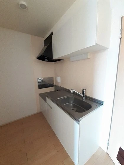 アリアキャメルⅡ