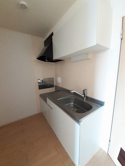 アリアキャメルⅡ