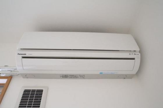 アルファ・陵南