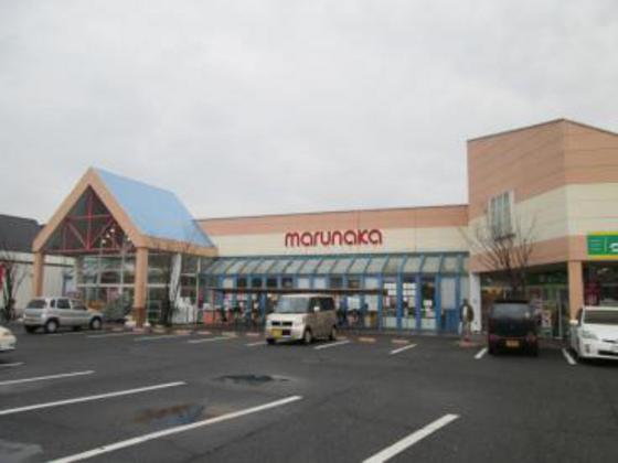 アルファ・陵南