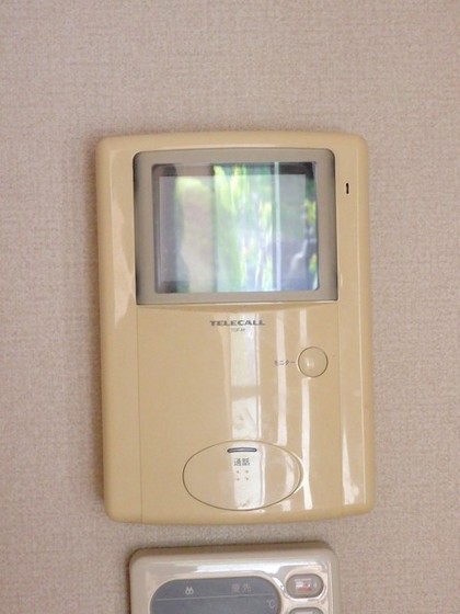 ファースト ステップ