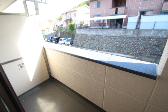 エバーグリーン