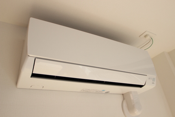 エバーグリーン