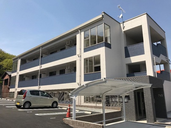 エバーグリーン