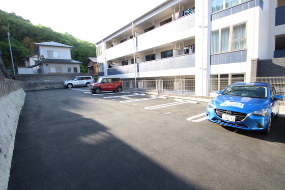 エバーグリーン