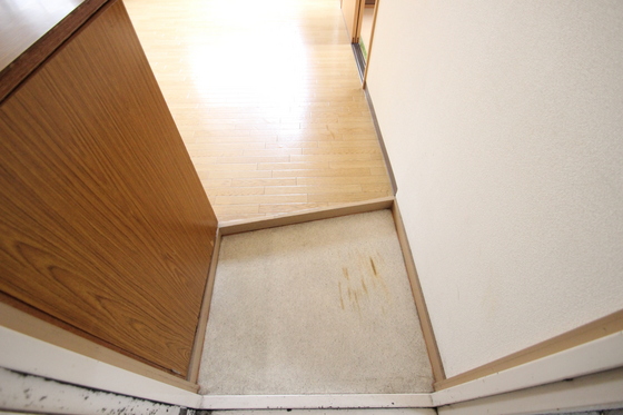 ネオセルコ平塚ビル